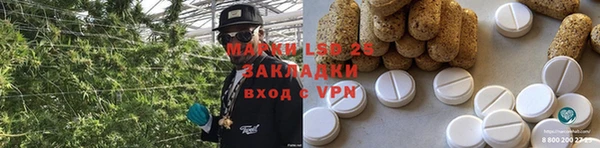 шишки Алзамай