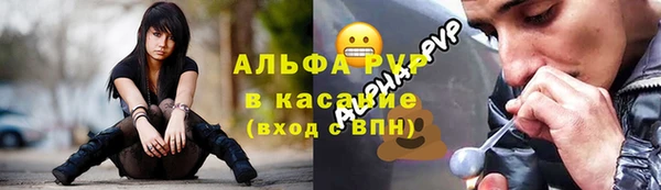 шишки Алзамай