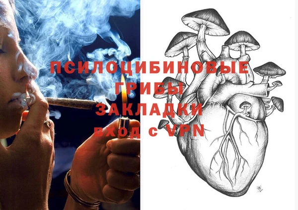 крисы Алексеевка
