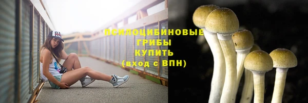 крисы Алексеевка