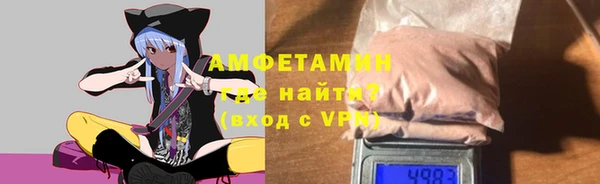 шишки Алзамай