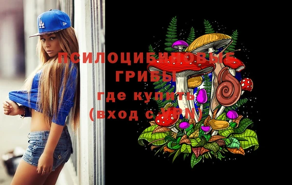шишки Алзамай