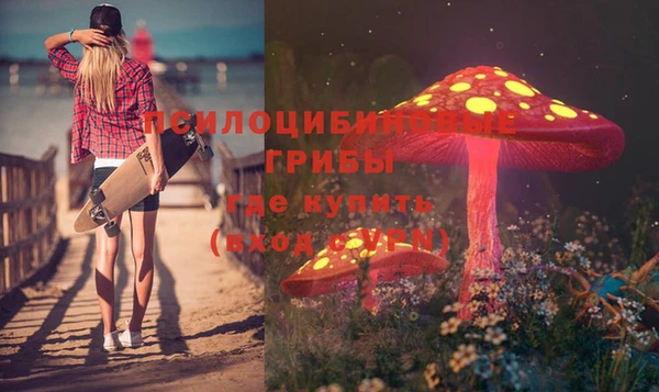 крисы Алексеевка