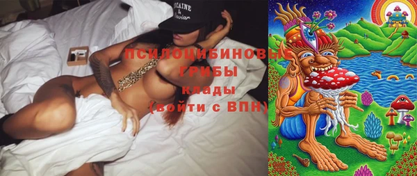 крисы Алексеевка