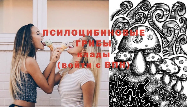 крисы Алексеевка