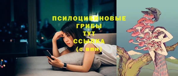 крисы Алексеевка
