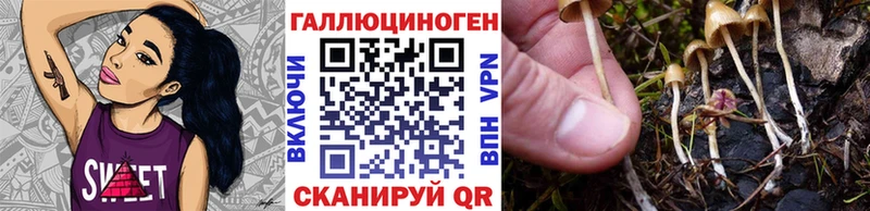Галлюциногенные грибы Cubensis  купить закладку  Щигры 