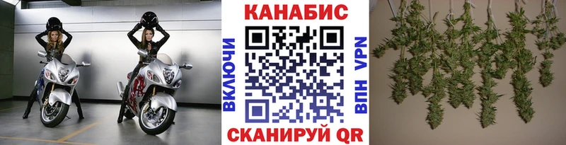 Шишки марихуана планчик  продажа наркотиков  Щигры 